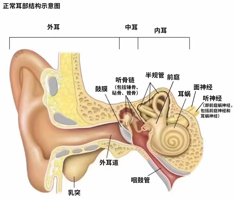 凉山耳鼻喉医院究竟在哪儿？